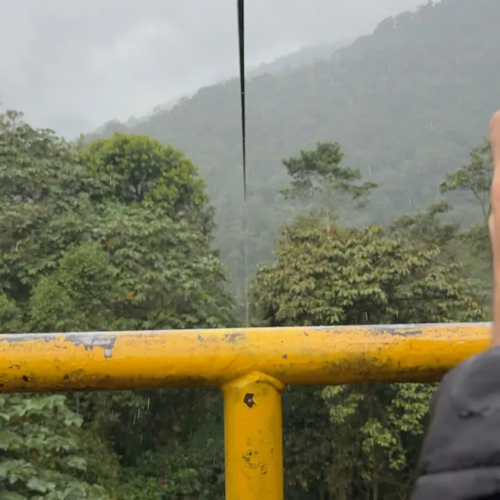 A yellow railing above a misty forest, Ecuador