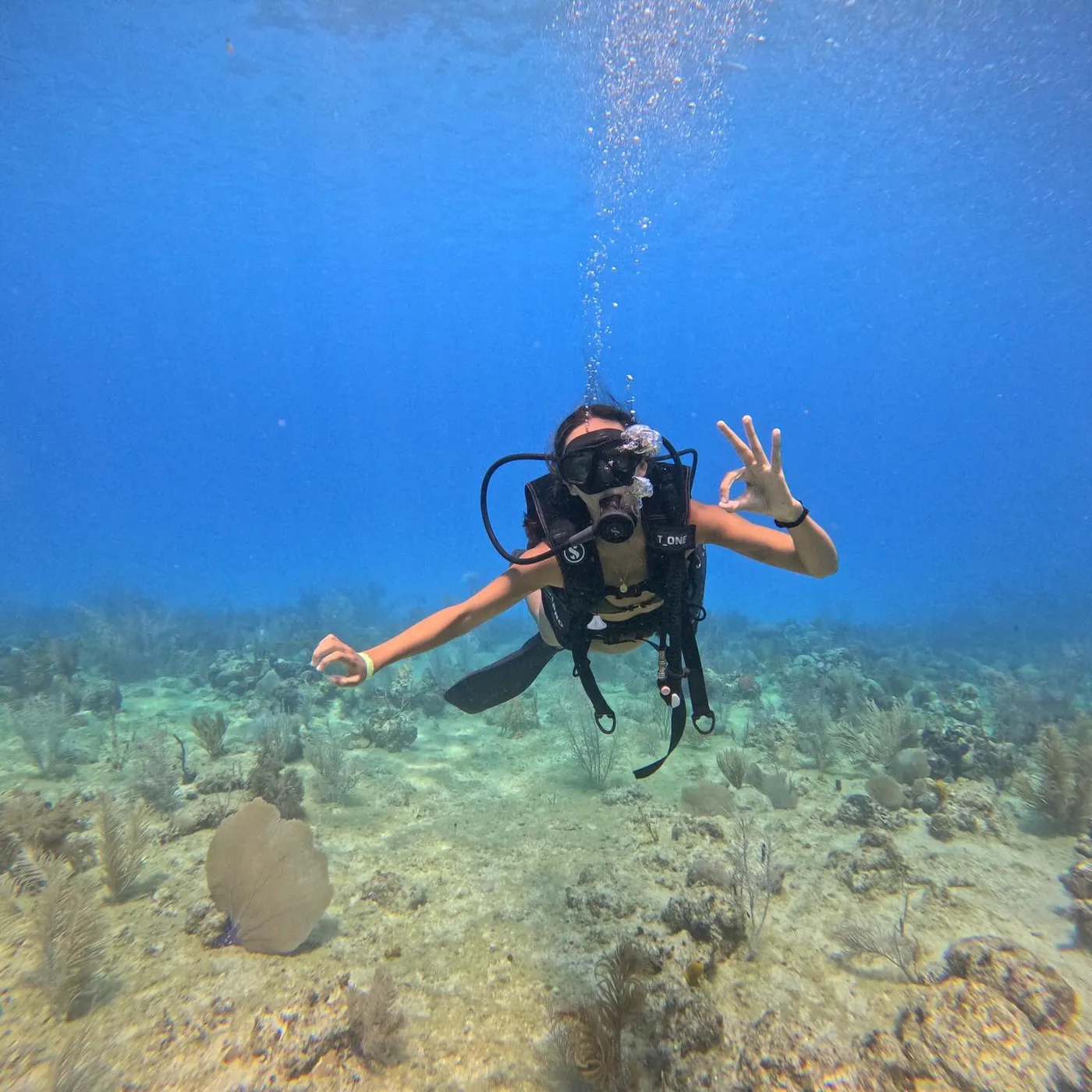 A scuba diver over coral, San Andrés