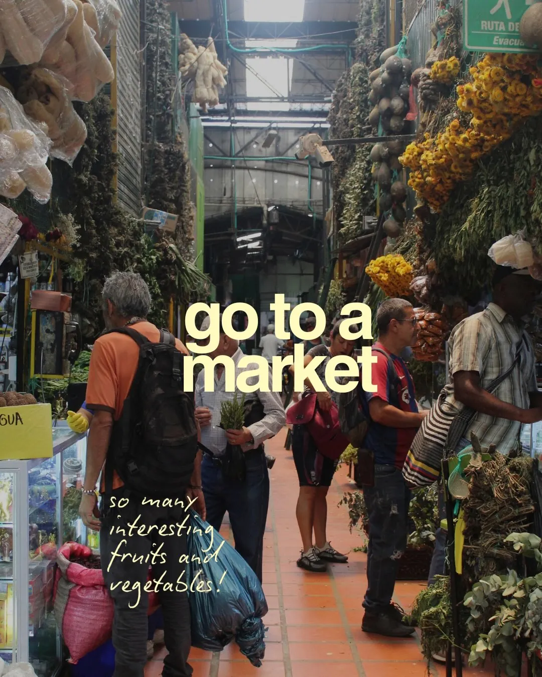 go to a market. A market stall full of plants
